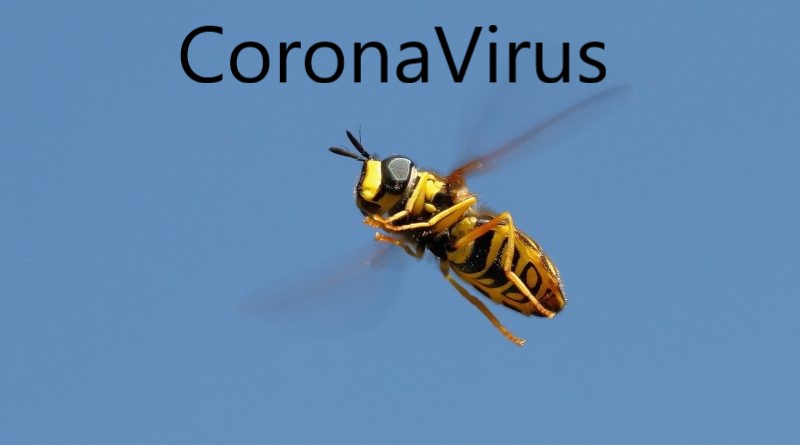 Propolis-ve-corona-virüsü-1-800x445-1